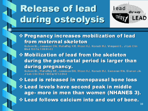 Release of lead during osteolysis, slide 10