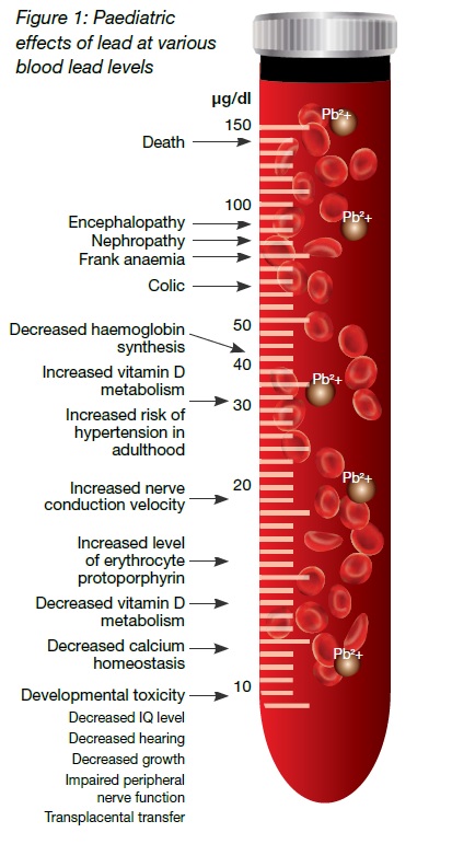 Paediatric Effects of Lead at Various Blood Lead Levels