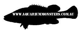 Aquarium Monsters Australia