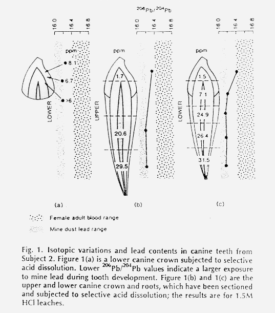 Lead in Deciduous Teeth - Figure 1